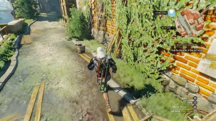 THE WITCHER 3 WALKTHROUGH PART 79