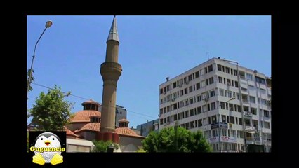 Inacreditável Passaro sobrevive com perna de boneca, reino animal, vida animal, vida selvagem