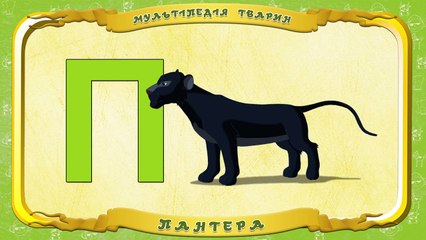Мультіпедія тварин Літера П Пантера