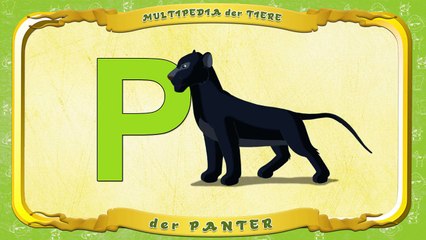 Multipedia der Tiere Buchstabe P der Panter