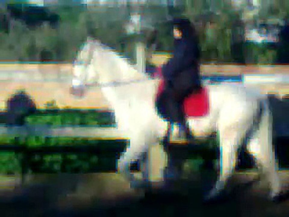 YO MONTANDO A MI CABALLO OTELO AL TROTE Y UN POCO AL GALOPE :D
