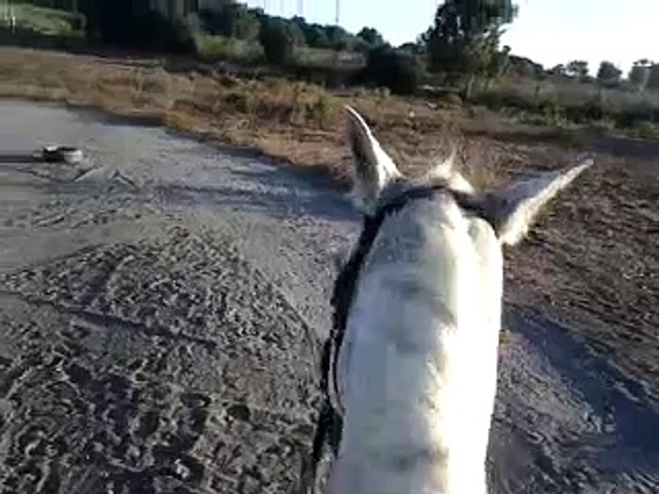 YO Y MI CABALLO OTELO :D