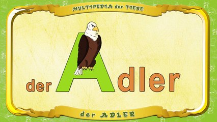 Multipedia der Tiere Buchstabe. A der Adler