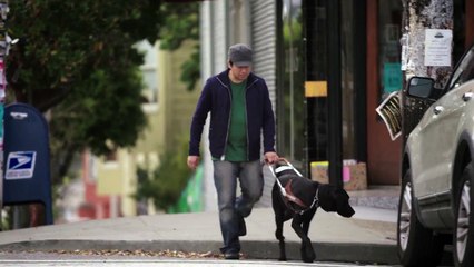 Conoce Project BLAID y experimenta The Toyota Effect