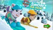 Paw Patrol games :Paw Patrol Snow Slide