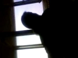 J'y étais pas version Bip et Perrolle