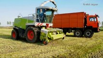 Loonwerken Neyt Van Laere Claas Jaguar 900 Speedstar gras hakselen