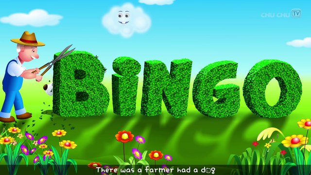 BINGO Dog Song - Nursery Rhyme With Lyrics - Cartoon Animation Rhymes & Songs for Children