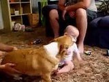 baby meets puppy