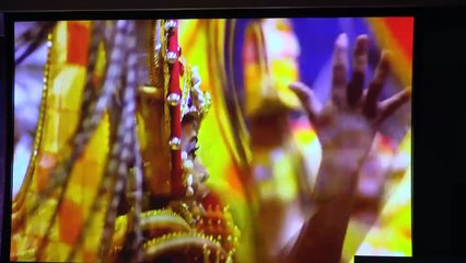 EEUU deja en sus atletas decisión de ir a Rio por zika