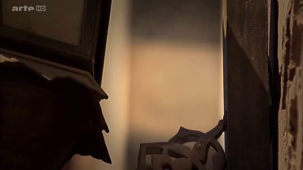 ARTE Documentaire Petits moineaux, grandes villes TVripHD-www.zone-telechargement.com