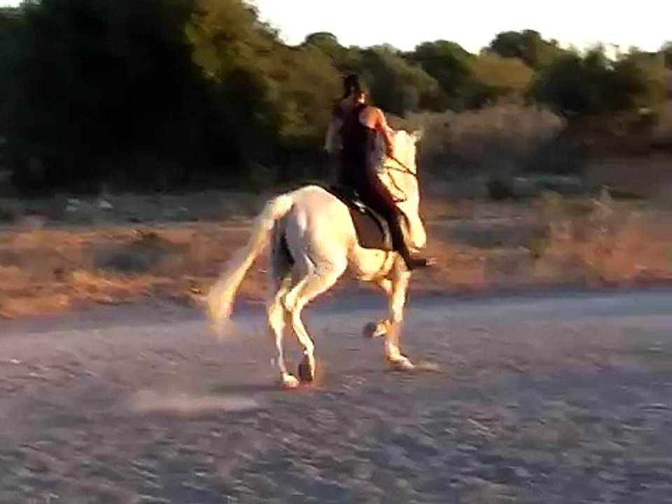 YO MONTANDO A MI CABALLO OTELO AL TROTE Y UN POCO AL GALOPE :D