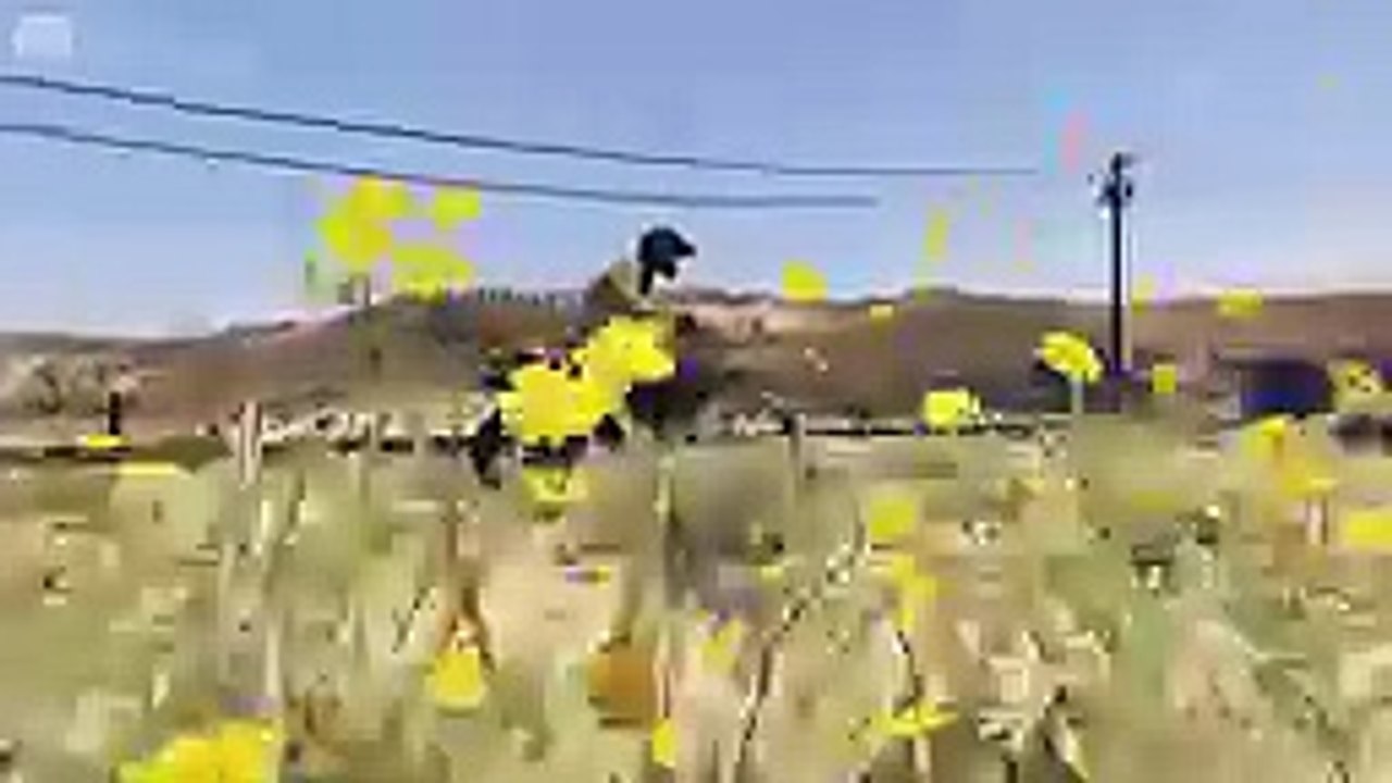 Catching the Train