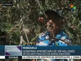 teleSUR Noticias 07-03-16_22:30