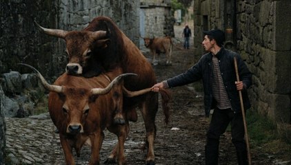 VOLTA À TERRA Bandes-annonce VO