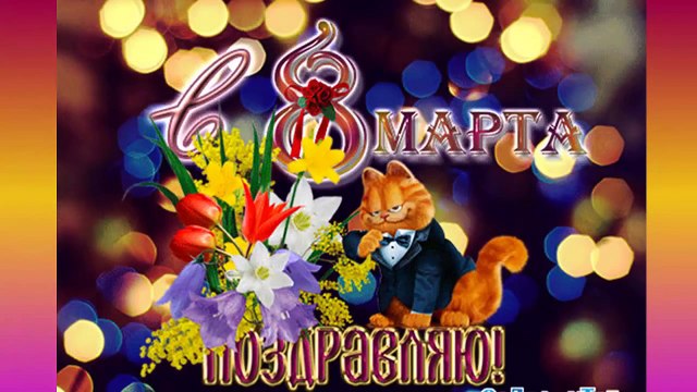 Прикольное, шуточное поздравление с праздником 8 марта для милых женщин!