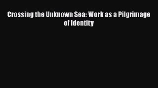 Read Crossing the Unknown Sea: Work as a Pilgrimage of Identity Ebook Free