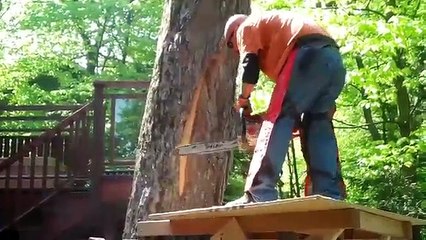 Oak Stump Chainsaw Carving by John Melo Mirror Lake,May 2011