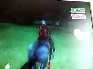 espectaculo ecuestre duende y pasion boda :)