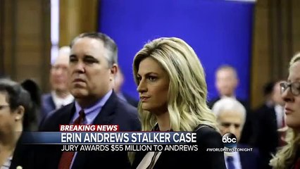 Jury Awards Erin Andrews $55 Million