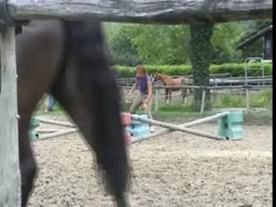 Chute avec petit pierre ( avec son)