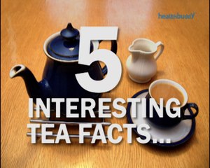 Discover Fascinating Facts About Tea ☕ | Shop Organic Tea Now