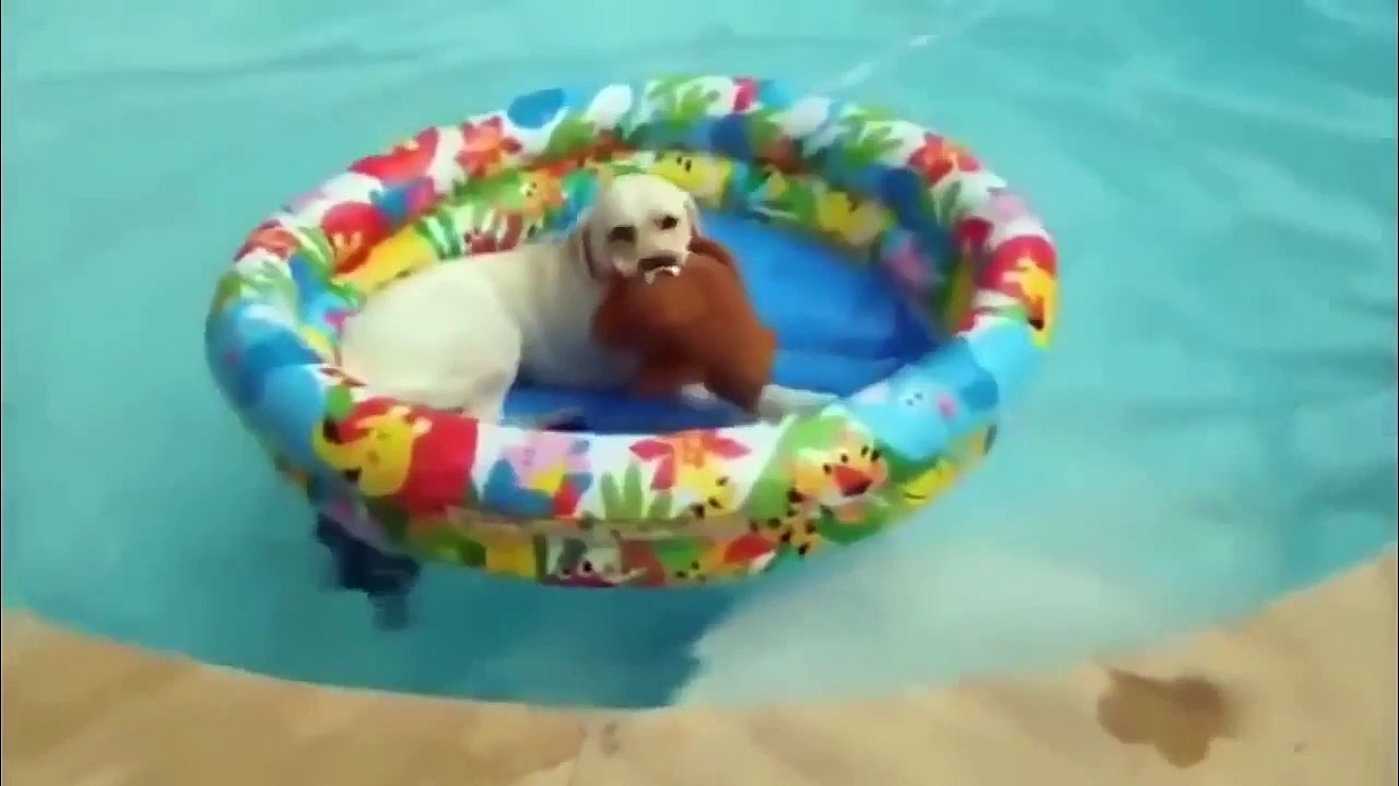 Le Zap de Spion259 /spion de nouvelles vidéos - 2016