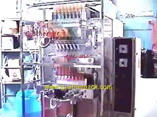 EMBOLSADORA EMPAQUETADORA (1)