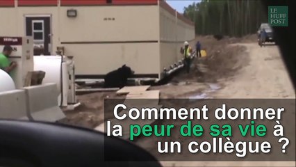 Cet ouvrier a eu la peur de sa vie (et c'est hilarant)