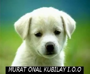 ali çeste ali çeşte