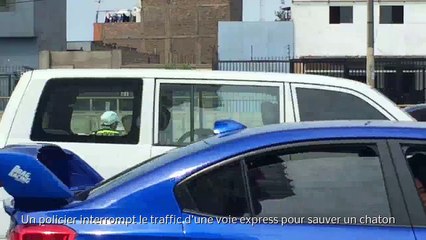 Un policier interrompt le trafic d'une voie express pour sauver un chaton