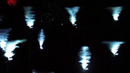 Whirling feathers, For the Birds, NZ Festival