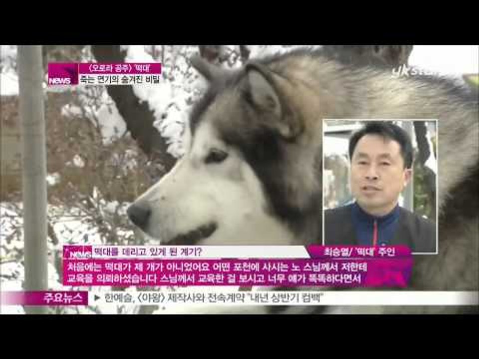 [Y-STAR] DDeokdae of 'Princess Ourora' interview ([오로라 공주]의 '떡대', 죽는 연기의 숨겨진 비밀)