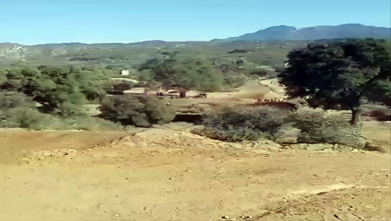 Huge Whip Compilation