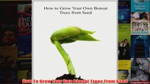 Download PDF  How To Grow Your Own Bonsai Trees From Seed FULL FREE