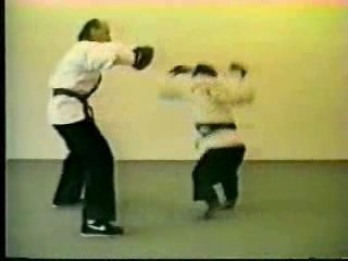 Singe karate