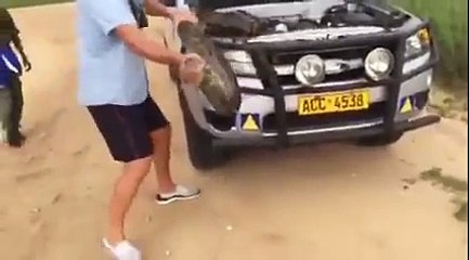 Zimbabwe: cet homme découvre un gigantesque python sous le capot de sa voiture