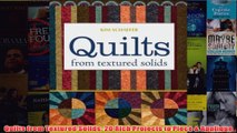 Download PDF  Quilts from Textured Solids 20 Rich Projects to Piece  Applique FULL FREE