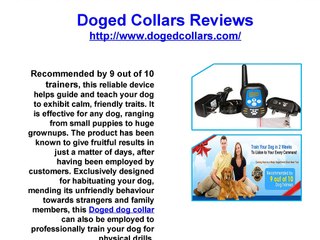 Doged Collars Reviews