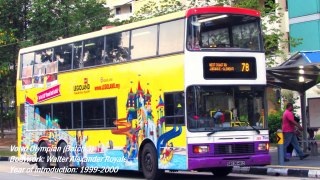 Singapore Buses Photo Showcase 2015