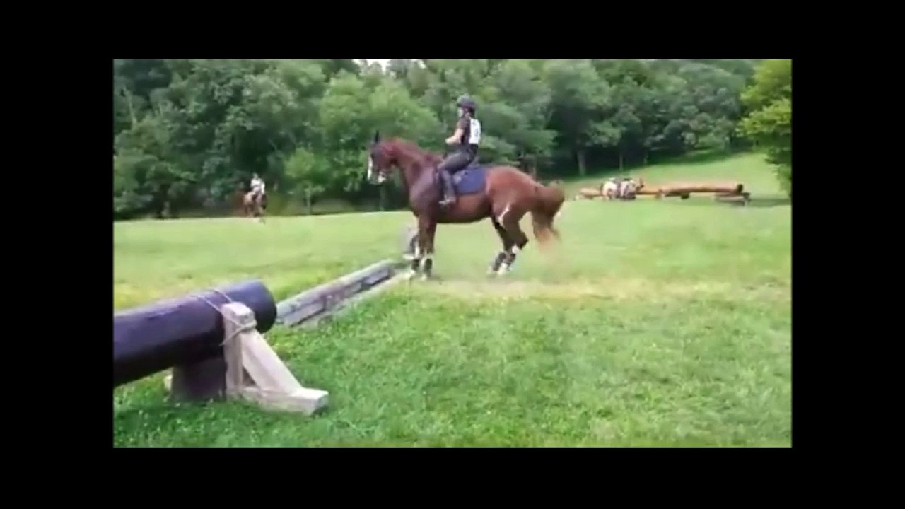 Quand ton cheval pense que l'obstacle est très très haut...