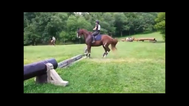 Quand ton cheval pense que l'obstacle est très très haut...