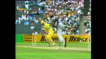 The Best FLYING catches in cricket history of all time!