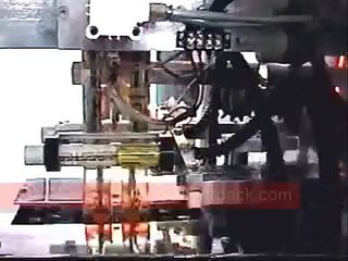 EMBOLSADORA EMPAQUETADORA (18)