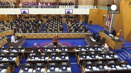 Minute silence and demonstrations mark second anniversary of MH370 disappearance