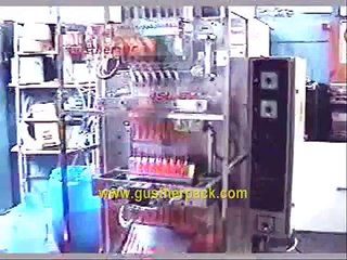 EMPACADORAlENVASADORAS lMAQUINAS ENVASADORASlEQUIPO de ENVASADO l ENVASADORAS EN GENERAL ALIMENTOS (8)