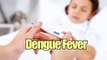 Dengue Fever Symptoms, Causes, and Treatments || Cure Fever Tips