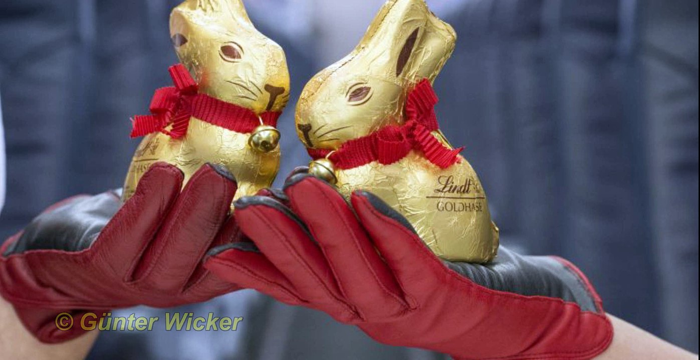 Reise TV Hasenjagd bei airberlin