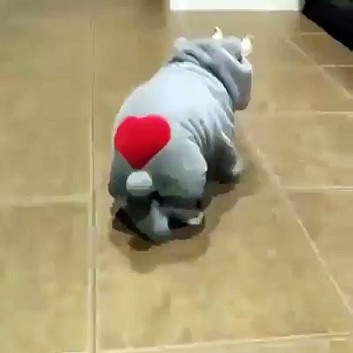 I am no going ,please