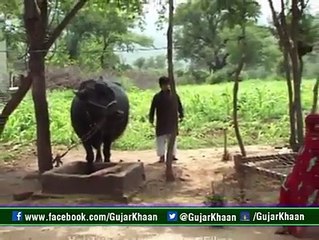 VID-20160307-WA0006.mp4